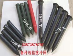 食用菌接種插簽的規格與使用